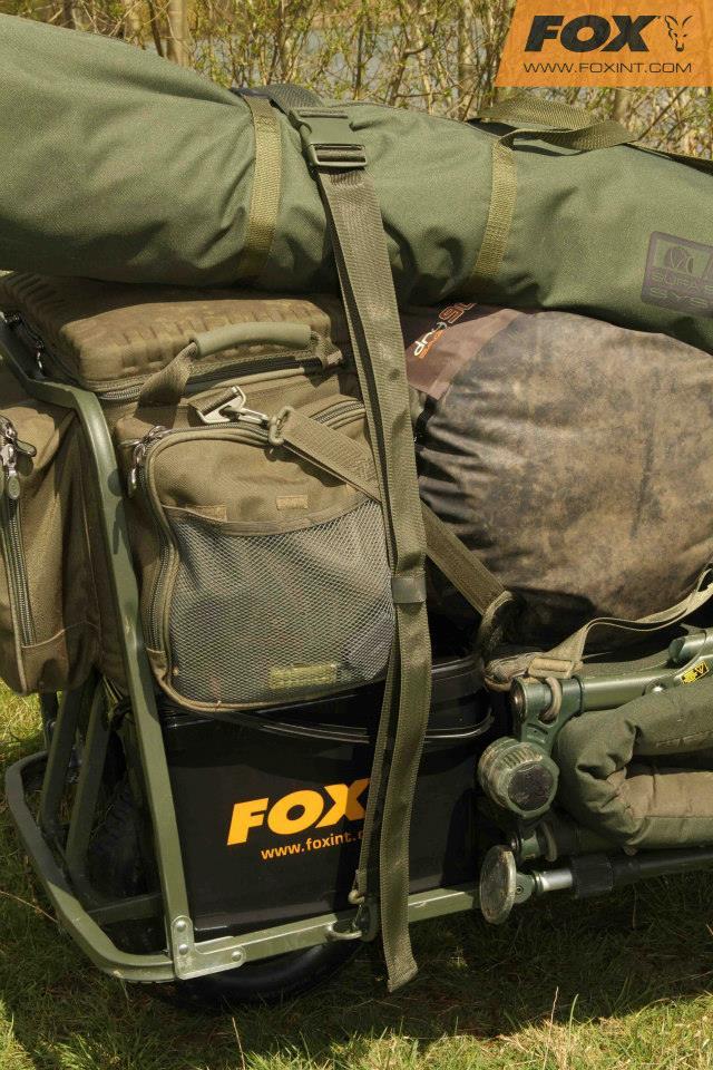 FOX - 1016602541165275941058556968335n.jpg